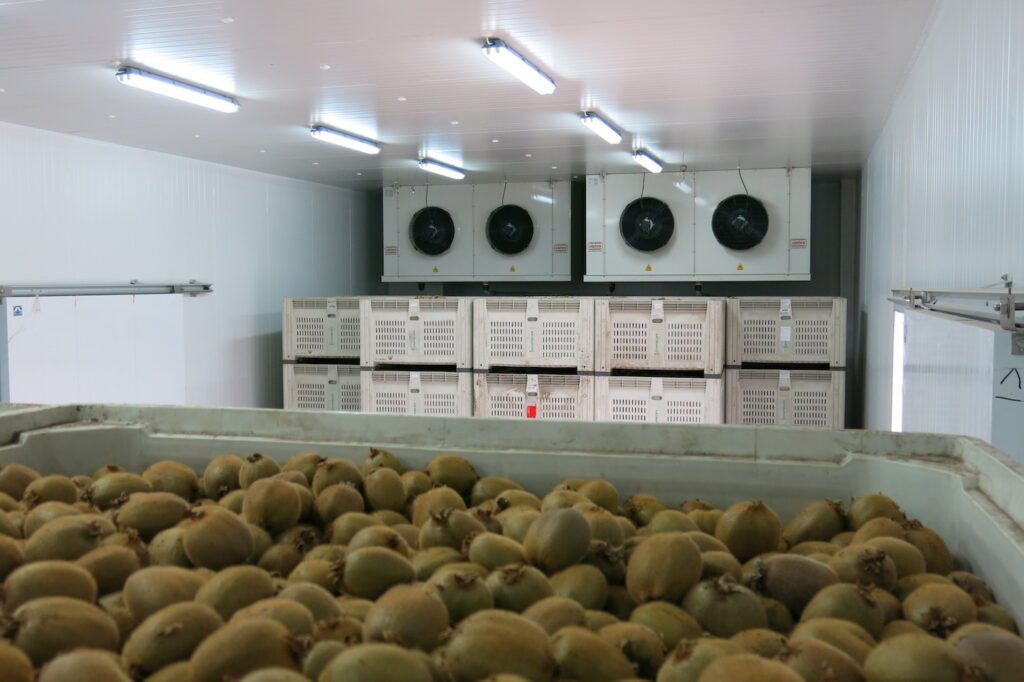 img_0575-1024x682 Chiller Warehouse How To Design?