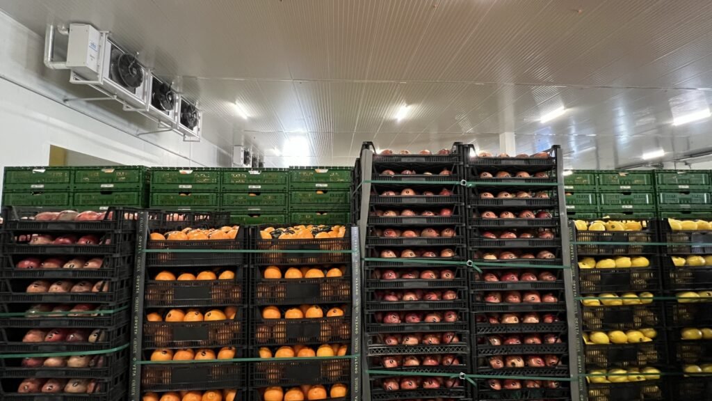 orta_SYF-19-2-1024x576 Chiller Warehouse How To Design?