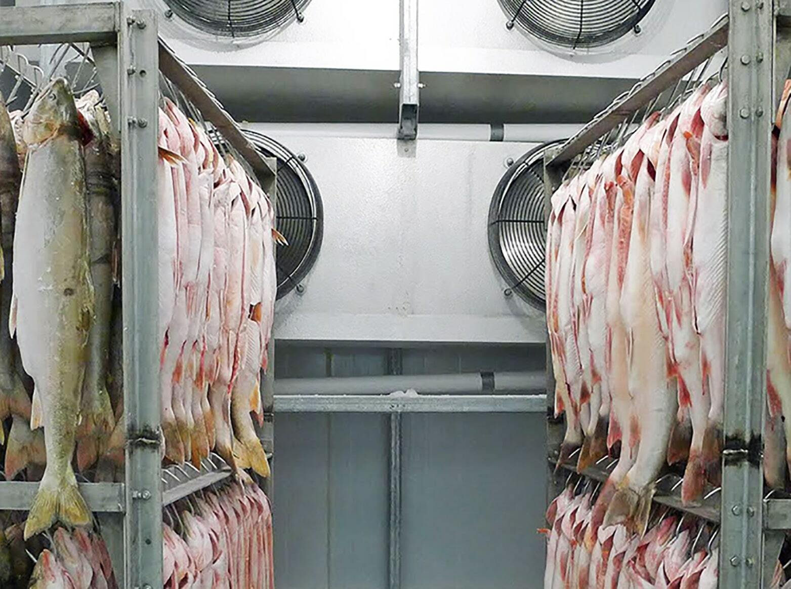 Seafood Cold Rooms