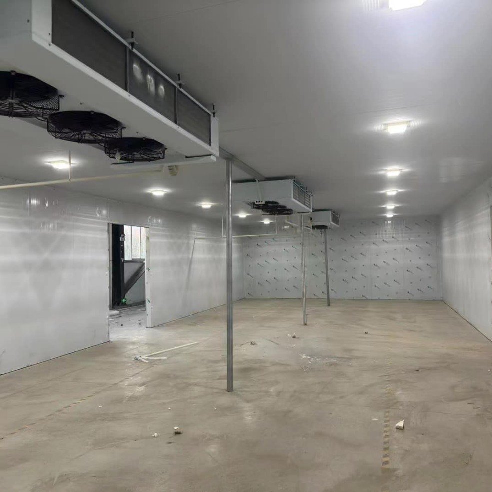 Cold Storage Warehouse